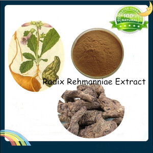 Rehmannia Glutionsa Root Extract, Radix Rehmanniae Extract